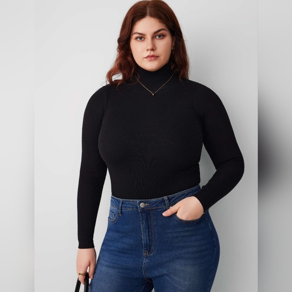 Cider High Neck Knit Long Sleeve Top Sweater‎ Curve & Plus 4X Black NWT - Picture 2 of 12